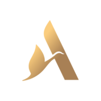 ACCYY logo