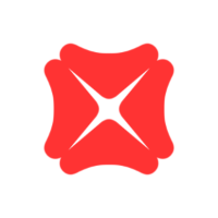 DBSDY logo