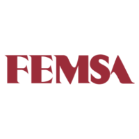 FMX logo