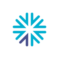 INDV logo