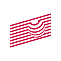 IX logo