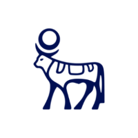 NVO logo