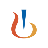 NVS logo