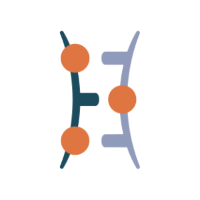 SLN logo