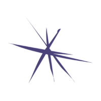 VIST logo